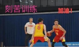 深圳男篮爆料新闻报道,揭秘球队幕后故事与争议瞬间