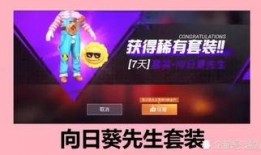 葵花皮肤爆料视频下载最新,视觉盛宴，探索神秘力量